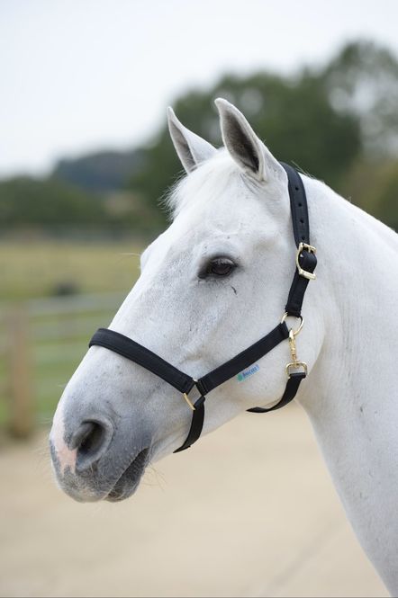 Hovedbilde Grime Dublin Black