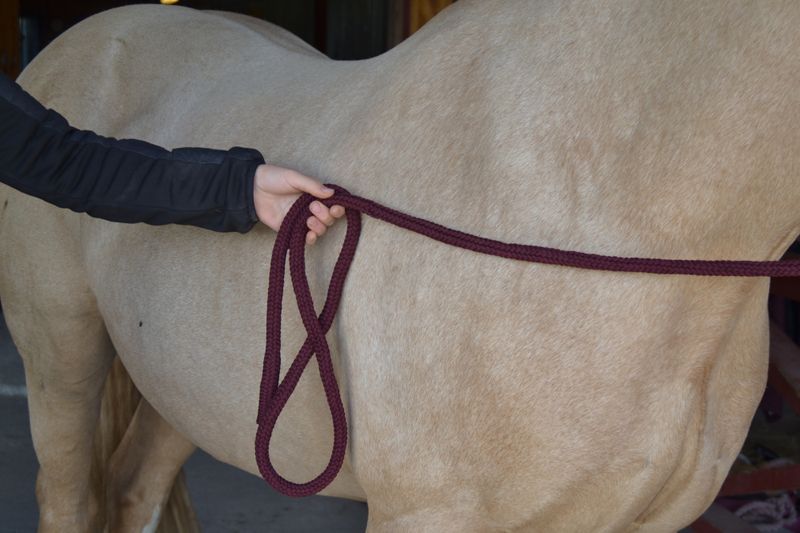 Leietau Classy Merlot