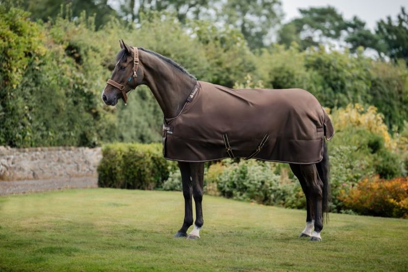 Irish Turnout 150 + Neck - Espresso