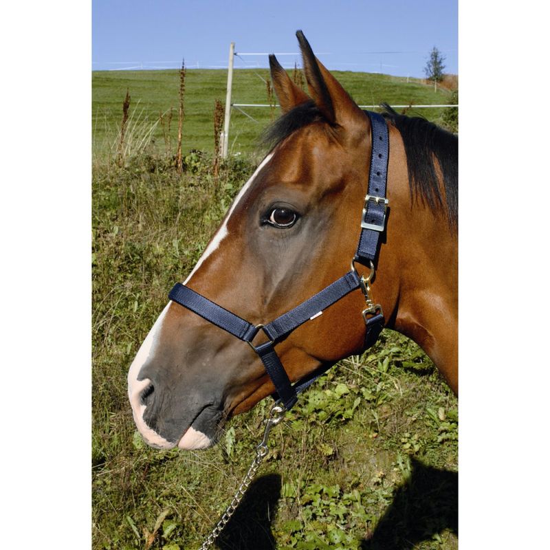 Grime Heimer Soft Blå