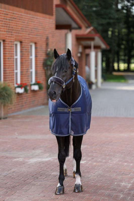 Bucas  Show-Line Competition Cooler