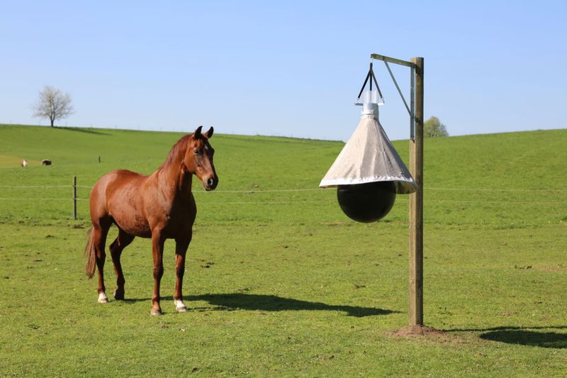 Kerbl Insektsfelle Taon-X Eco Gadfly Trap 5000m2