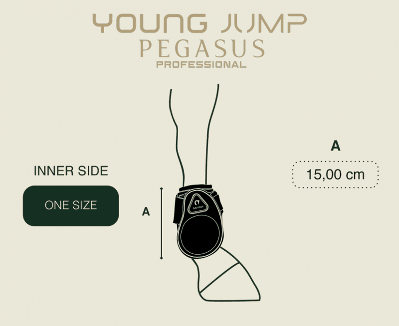 PEGASUS FETLOCK YOUNG JUMP PROTECTION - ONE SIZE