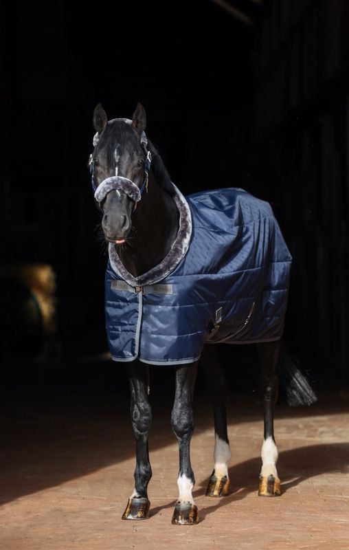 Show-Line Stable Rug 150g