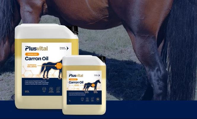 Hovedbilde Plusvital Carron Oil 20L